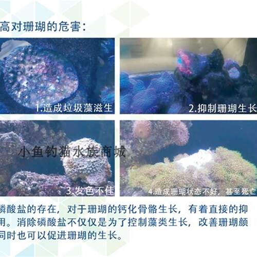 Maxspect迈光吸磷剂 PO4去除降低磷酸盐海水除藻去红泥净水吸磷珠