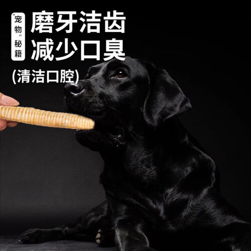 冻干鹅喉管狗狗零食补泰迪金毛中小型犬磨牙棒耐咬钙猫狗宠物专用