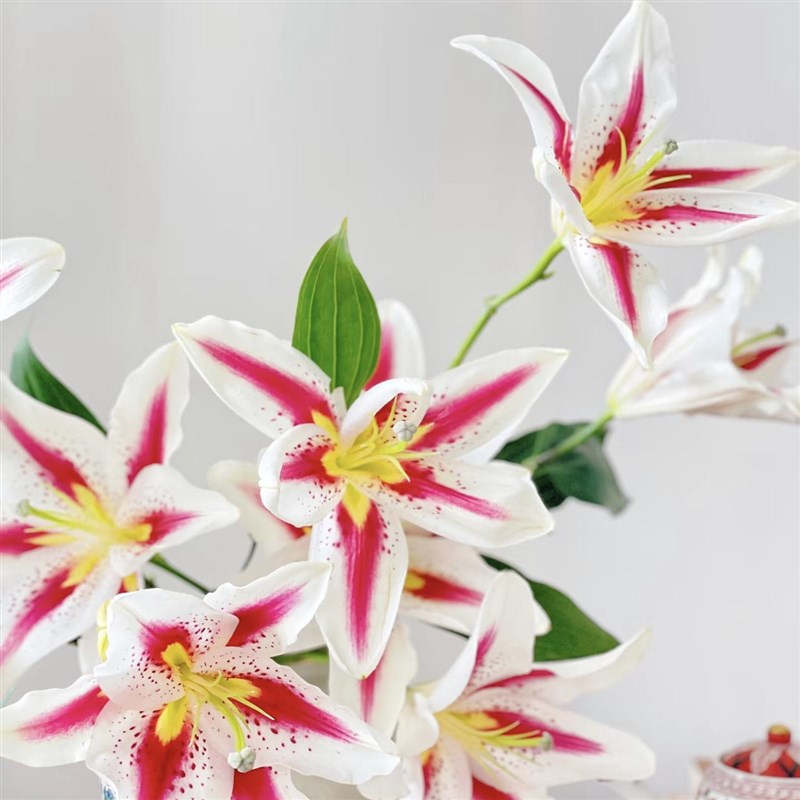 【云花多多】开放给人愉悦感笑脸百合花鲜花有香味家用插花装饰