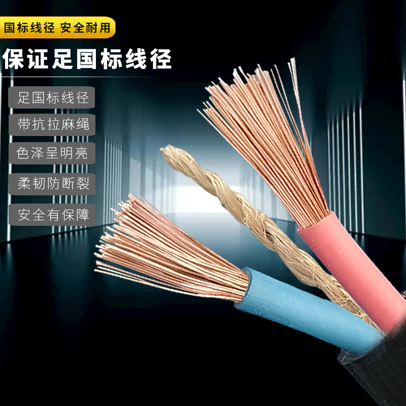 户外防水电线软线防冻二芯电缆线电动车充电L线家用国标2.5护套线