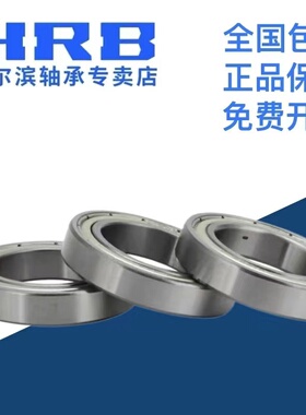 HRB 哈尔滨轴承 61956 61960 61964 61968 61976 ZZ 深沟球轴承