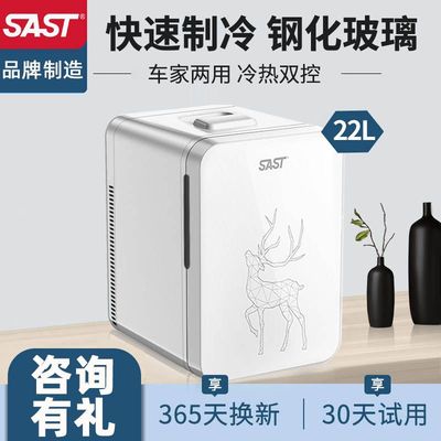 SAST车载20L迷你小冰箱12v车家两用小型冷藏化妆品母乳宿舍单人用