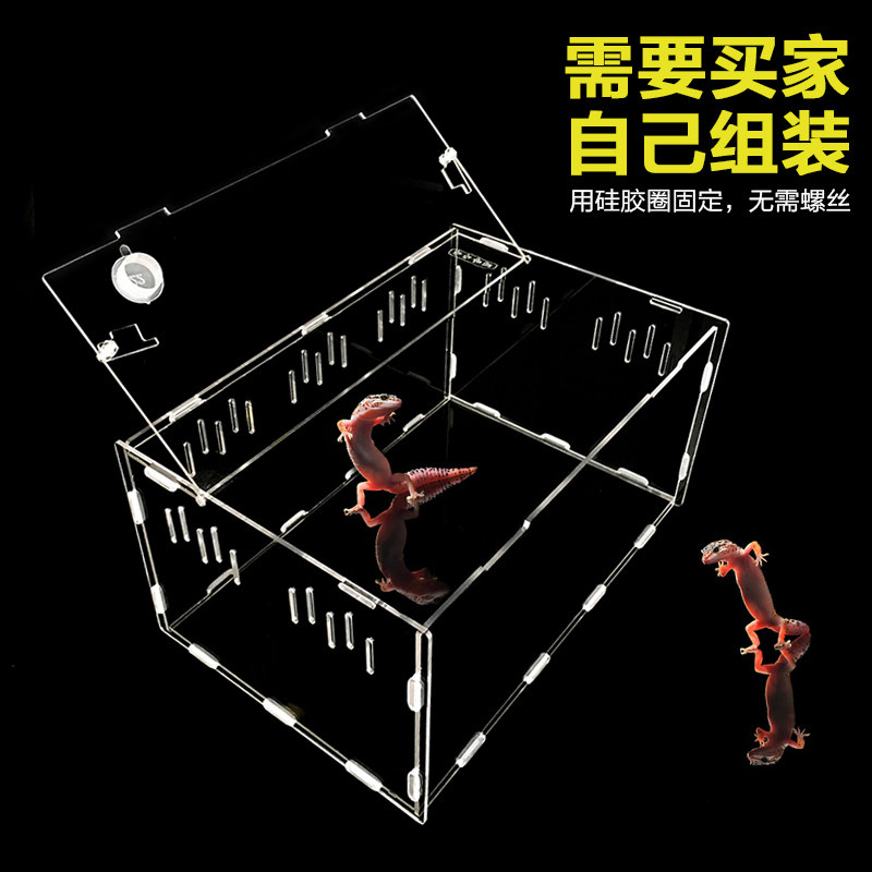 亚克力爬虫箱透明蜘蛛蜥蜴角蛙蛇守宫爬宠甲虫独角仙饲养箱包邮,宠物/宠物食品及用品,爬宠缸/箱,淘宝优惠券,粉丝福利购,淘宝优惠卷