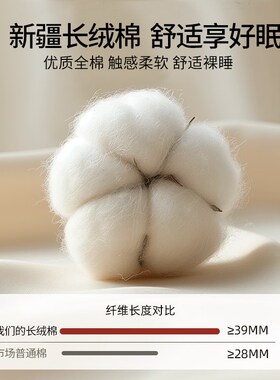 纯棉被套220cmx240cm单件全棉被罩单人双人150x200x230床单四件套