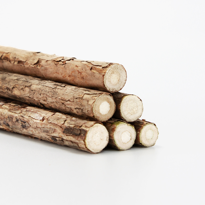 pepezoo木天蓼猫咪洁齿磨牙棒猫薄荷啃咬零食解闷自嗨玩具逗猫棒