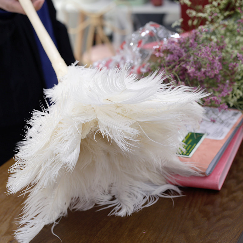 家用除尘掸鸡毛掸子实木手柄白色鸵鸟毛掸扫灰清洁装饰柔软不掉毛