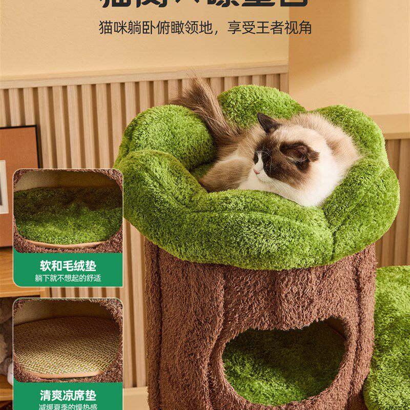 喵想树丛林实木猫爬架猫窝猫抓板一体小户型不占地剑麻猫咪架子