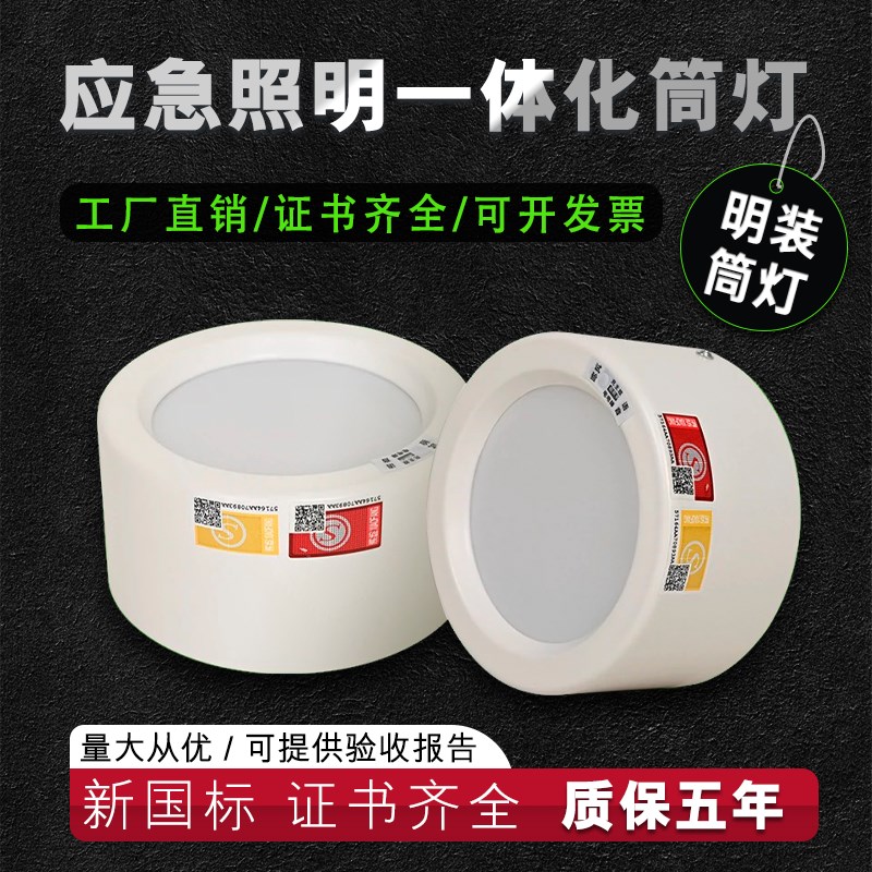 消防应急筒灯明装LED停电一体化射灯免开孔楼道商场过道逃生照明