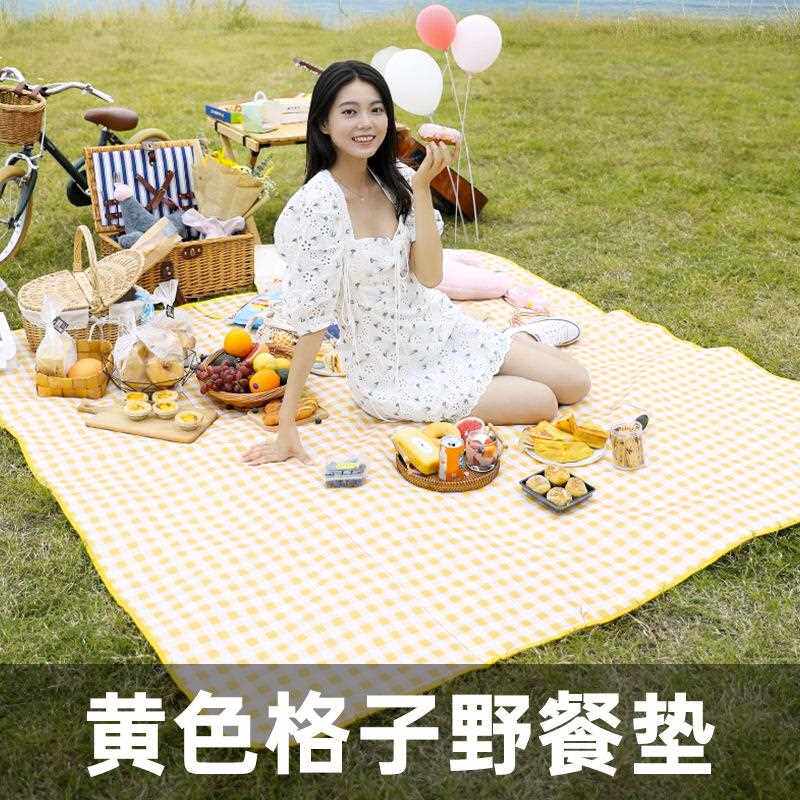 直销新款野餐垫防潮垫加厚户外用品便携防水野炊郊游帐篷垫露营垫