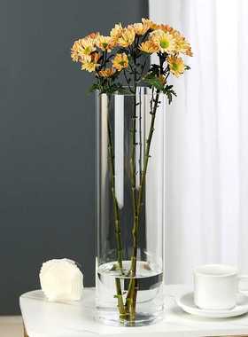 新款直销简约高硼硅直筒花瓶玻璃透明客厅插花富贵竹干花特大号落