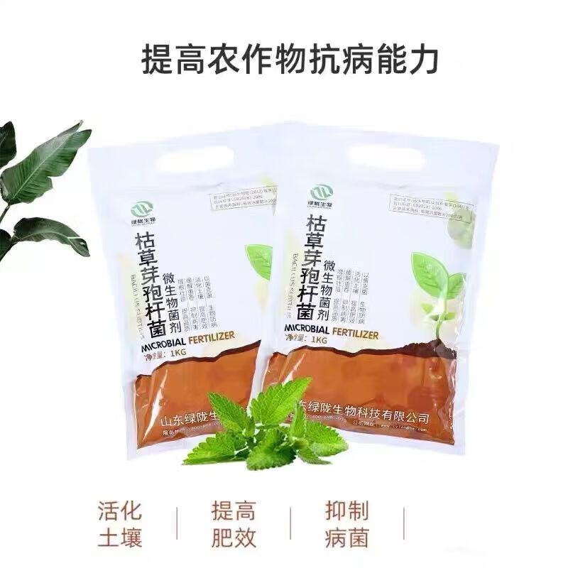 枯草芽孢杆菌激活土壤预防病害菌肥菌种抗重茬水溶微生物菌剂