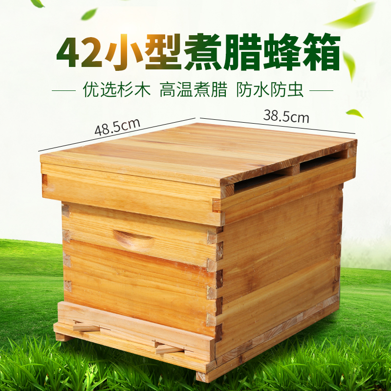 中蜂蜂箱42煮蜡标准十框烘干抛光蜜蜂箱养蜂工具成品杉木巢础框