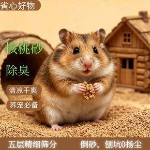 仓鼠核桃砂金丝熊豚鼠刺猬夏天专用挖掘刨沙除臭造景垫料大匠神彩