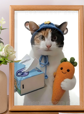 ”萝卜 萝卜，蒸蚌！“网红萝卜纸巾猫大开门搞笑桌面摆件相框潮