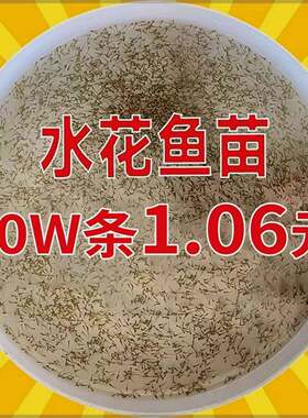 水花鱼苗鲫鱼草鱼桂鱼鲈鱼花鲢白鲢青鱼鲤鱼武昌鱼翘嘴鱼活体