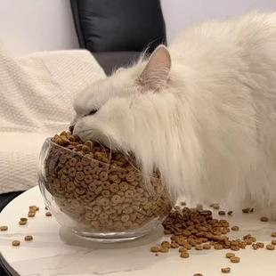 透明玻璃斜口猫碗玻璃狗碗不易打翻大口径喝水猫粮猫罐头猫食盆狗