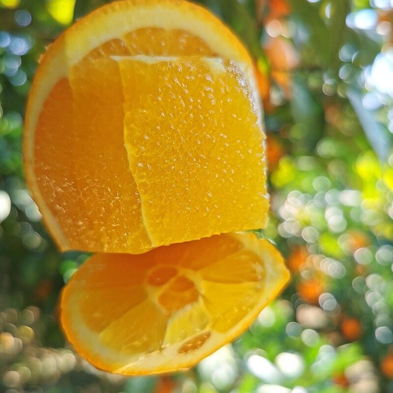 正宗江西赣南脐橙净重4.5斤甜橙子新鲜水果生鲜赣州现摘现发包邮,水产肉类/新鲜蔬果/熟食,橙,淘宝优惠券,粉丝福利购,淘宝优惠卷