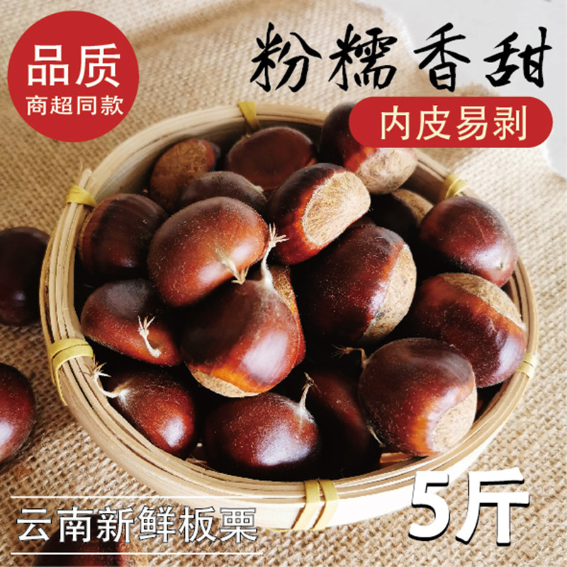 2026年新鲜生板栗原生态板栗苞现摘现发3斤5斤云南栗子树上熟包邮