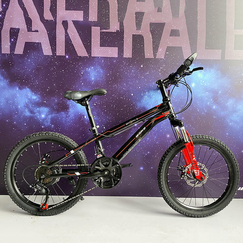 自行车登山车20寸双碟煞减震21速车男女中小学生脚踏单车