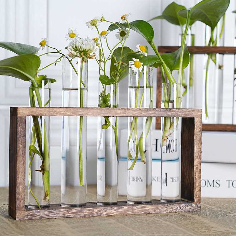 水培花瓶试管水养绿植插花植物容器简约木架摆件台面装饰玻璃花器
