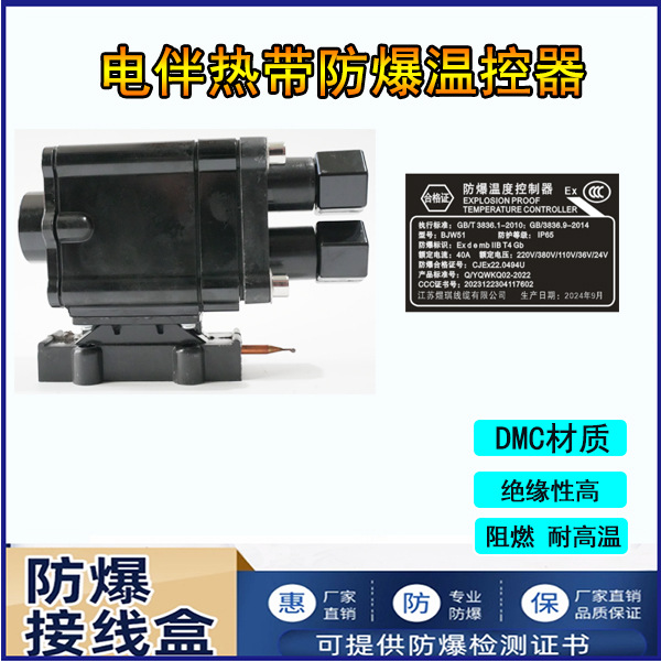 伴热带温控开关控制器防爆温控器电源接线盒首端三通二通终端尾盒