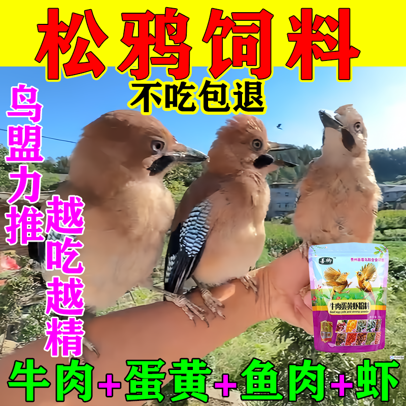 松鸦饲料八哥幼鸟雏崽专用粮喜鹊鹦鹉鹩哥鸟食乌鸫红嘴山鸦蓝鹊粮