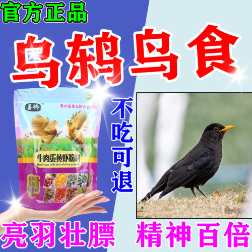乌鸫鸟食专用饲料幼鸟面包虫干营养通用混合大颗粒鸟粮提性开口驯