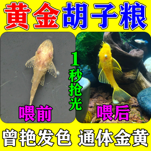 黄金胡子饲料专用高蛋白鱼食开口下沉底栖鱼清道夫鱼苗增体发色粮