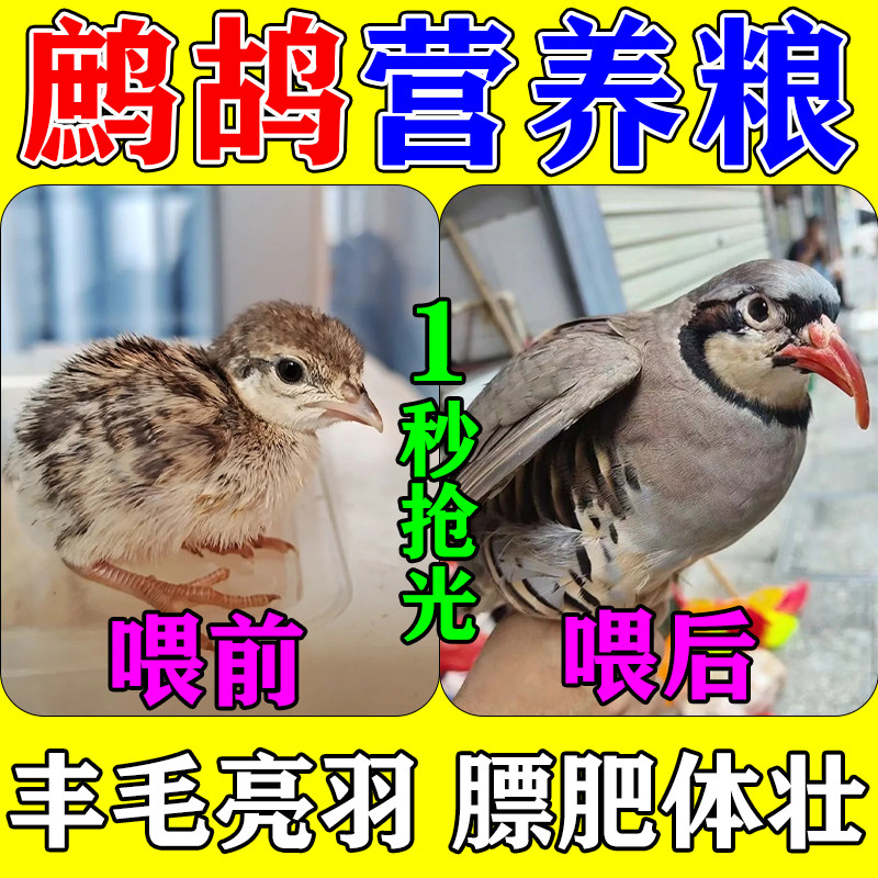 鹧鸪饲料幼鸟斑鸠乌鸫专用粮鸽子食粮幼鸽鹦鹉五谷混合通用营养粮