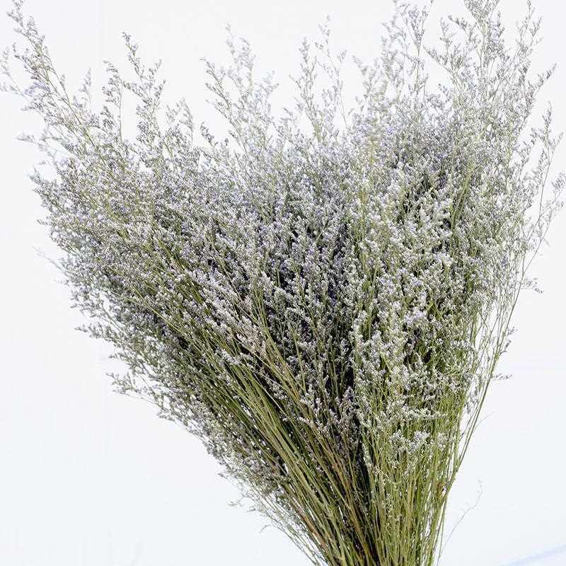 新款直销原色情人草干花永生花花束配草水晶草情人节花束配草云南,家居饰品,餐桌花艺,淘宝优惠券,粉丝福利购,淘宝优惠卷
