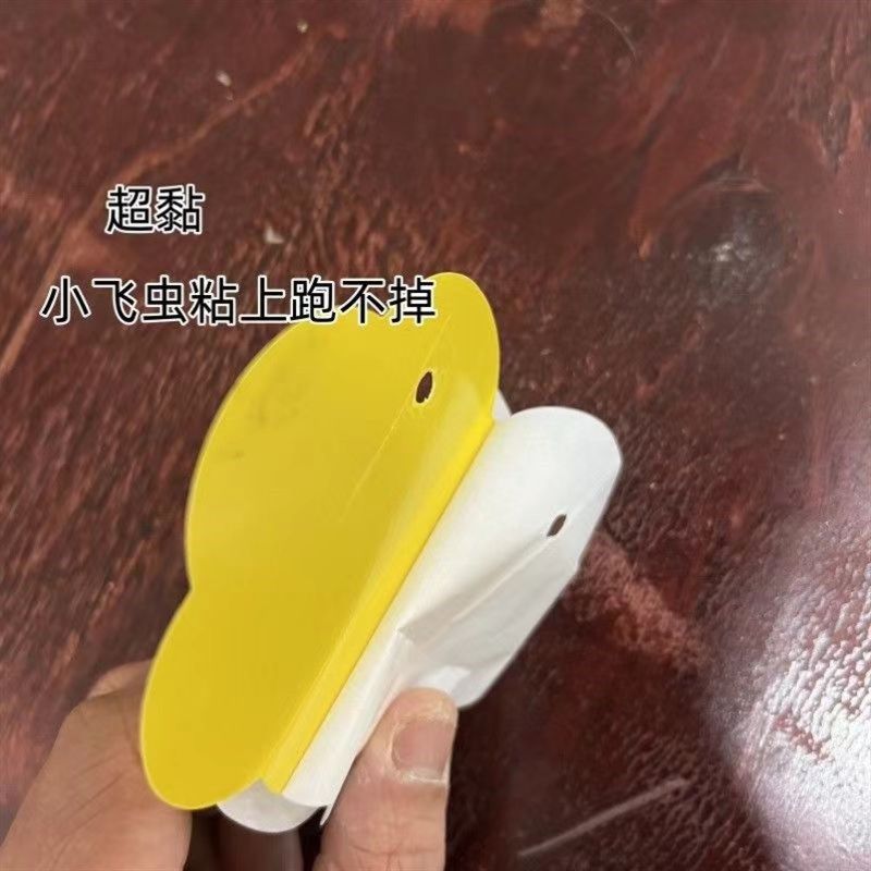 垃圾桶飞虫贴消灭小飞虫贴厨房水果店灭虫神器卫生间厨房粘虫