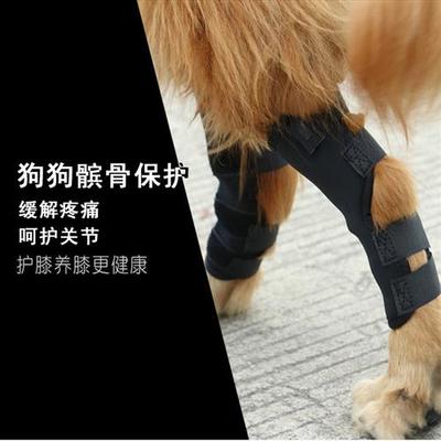 狗狗髌骨保护带腿套护膝关节套金毛边牧护肘中大型犬护腿宠物用品