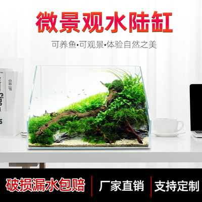 超白水陆鱼缸植物造景缸微景观斜口造景缸乌龟缸两栖生态缸雨林缸