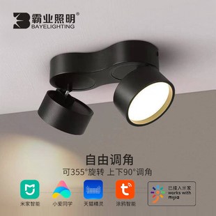 筒灯可调角度客厅无主灯双头三头米家智能三色变光吸顶斗胆灯 明装
