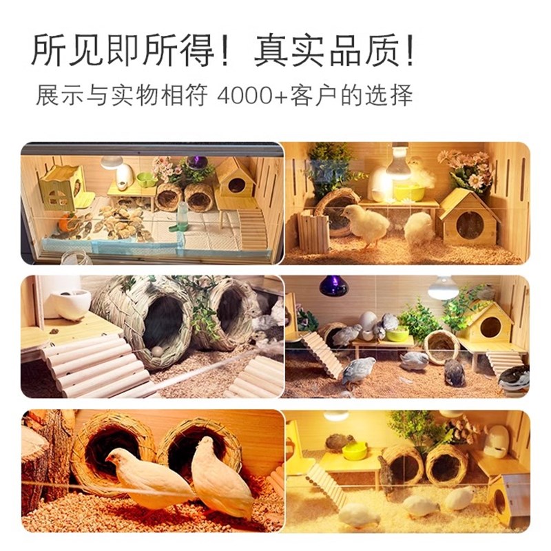 芦丁鸡宠物饲养箱拉门全套笼子育雏家用全景卢丁鸡养箱恒温