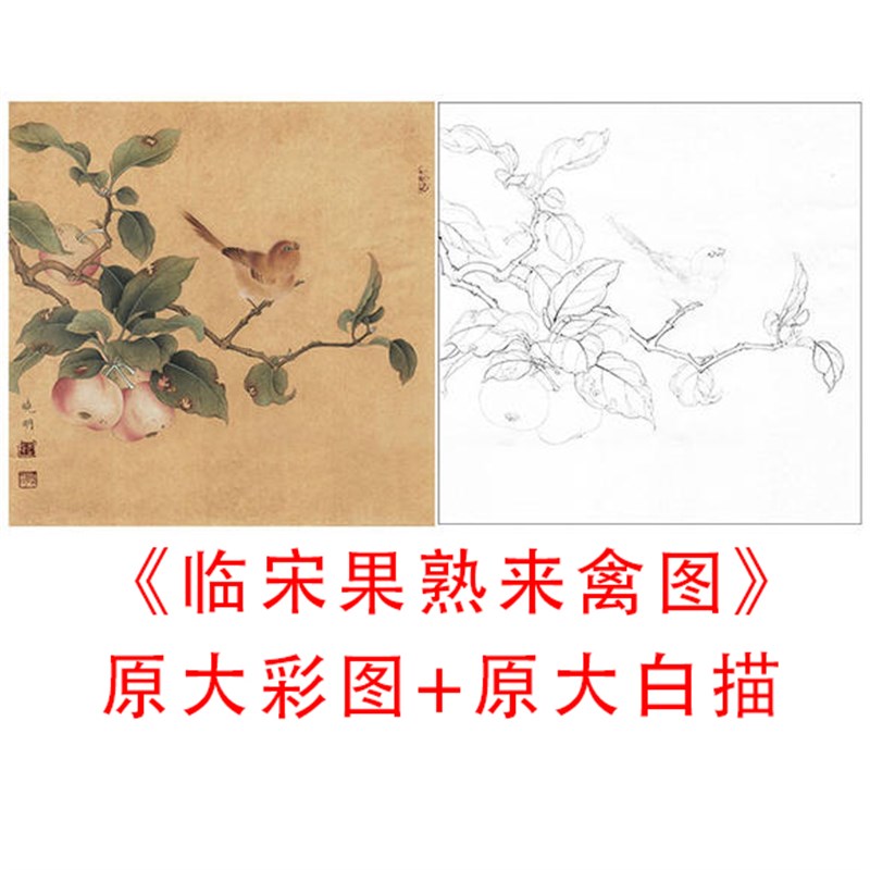 工笔白描底稿宋画小品李晓明果熟来禽图实物勾线打印稿872C