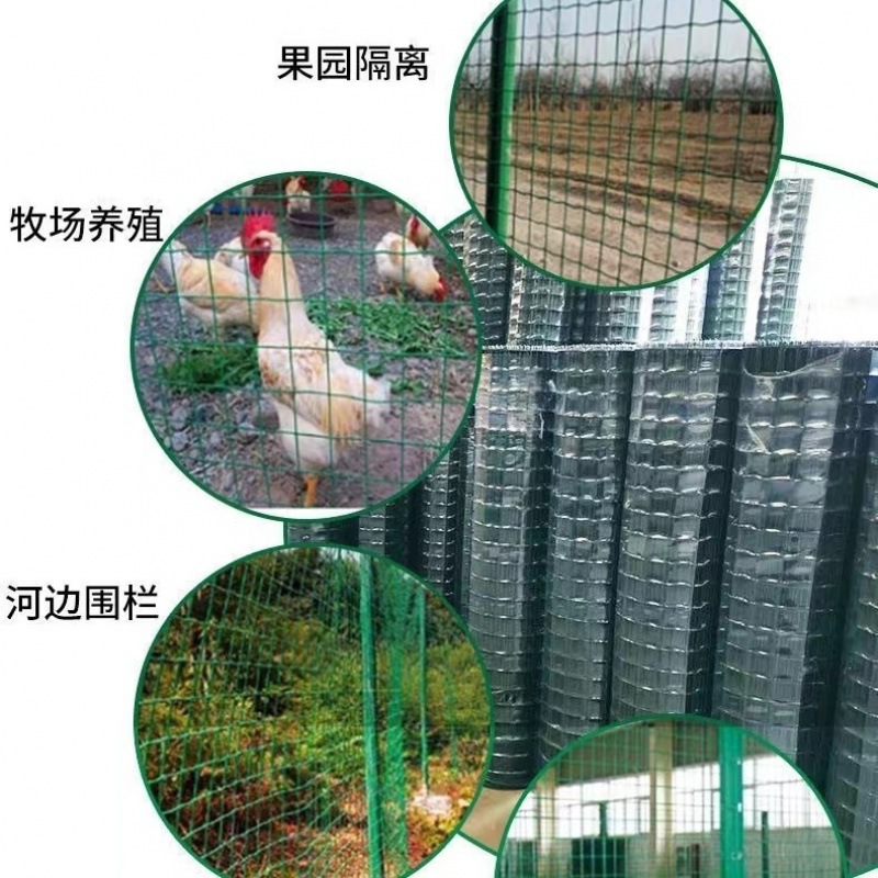 新品厂促养殖网铁丝网围栏网养鸡网拦鸡网铁网格网围栏护栏隔离品