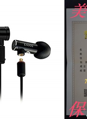 Final E4000 High Resolution Sound Isolating In-Ear Headphone