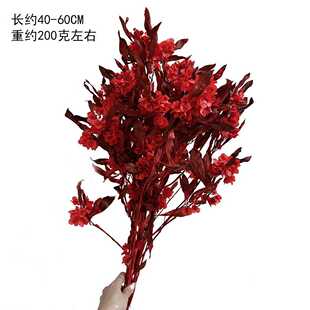 新款直销永生年宵花迎客豆蝴蝶花过年喜庆装饰