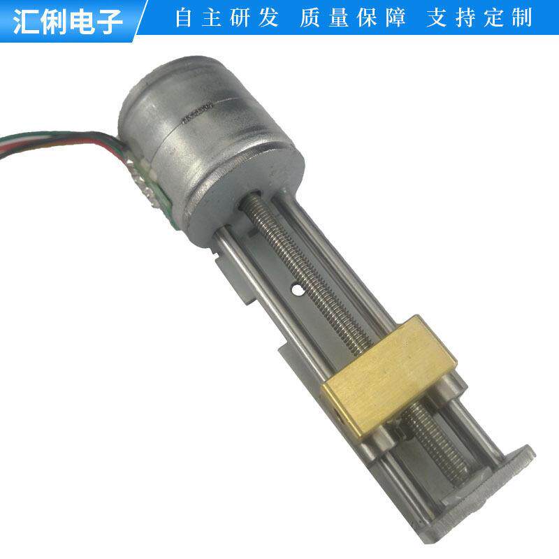 新款直销美容仪 水光枪用电机 2相4线微型步进电机 补水仪直线滑
