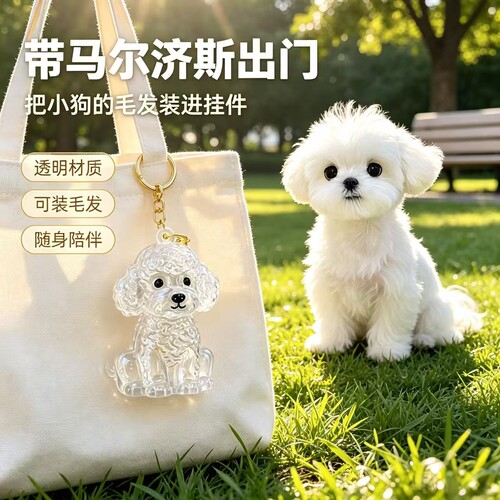 马尔济斯毛发收纳钥匙扣透明狗狗纪念挂件毛孩子随身思念珍藏挂饰