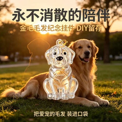 宠物纪念透明金毛造型钥匙扣可收纳狗狗毛发思念陪伴随身珍藏挂饰