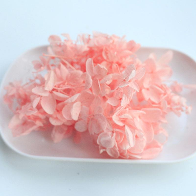 新款直销AB级永生花木绣球安娜绣球干花浮游花香薰团扇diy材料包