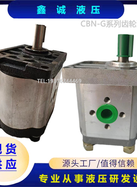 厂销齿轮泵CBNF314 CBNF316 CBNF318 CBNF320 CBNF325 液压油泵品