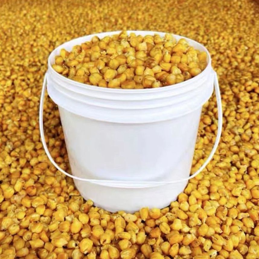发酵玉米窝料小麦老坛五谷杂粮野钓鲫鱼草鱼鲤鱼青鱼饵料酒糟桶装