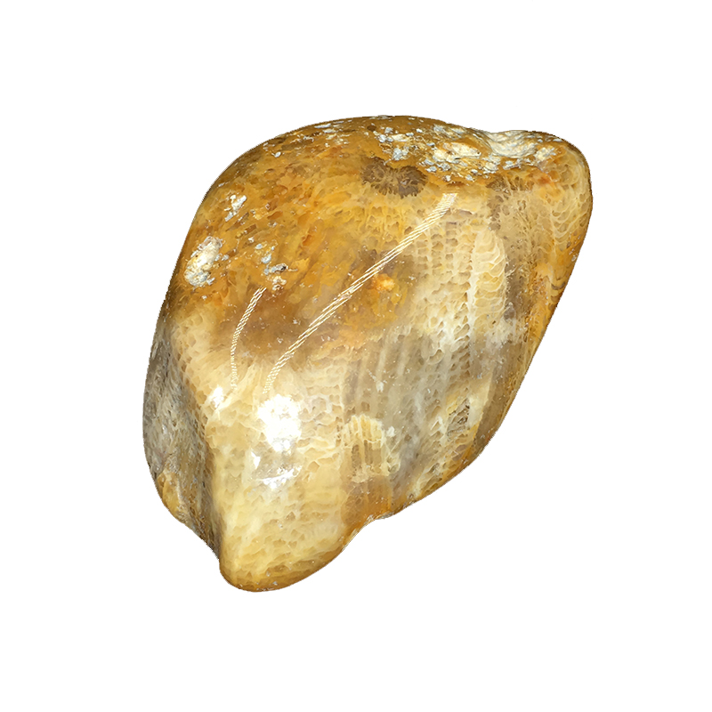 天然大块珊瑚玉化石菊花石碎石原石鱼缸花盆造景装饰石摆件矿石标