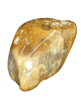 天然大块珊瑚玉化石菊花石碎石原石鱼缸花盆造景装饰石摆件矿石标