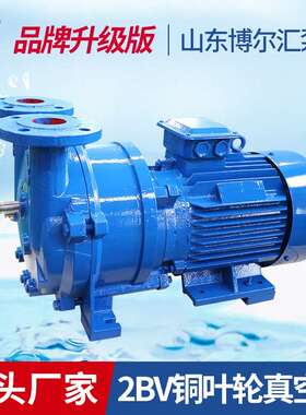 2BV511环水式真3空泵雕刻HPS机专用泵灯泡k吸附真空泵11w铜叶轮泵