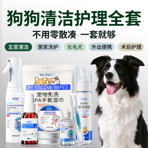狗狗清洁套餐一站式购全