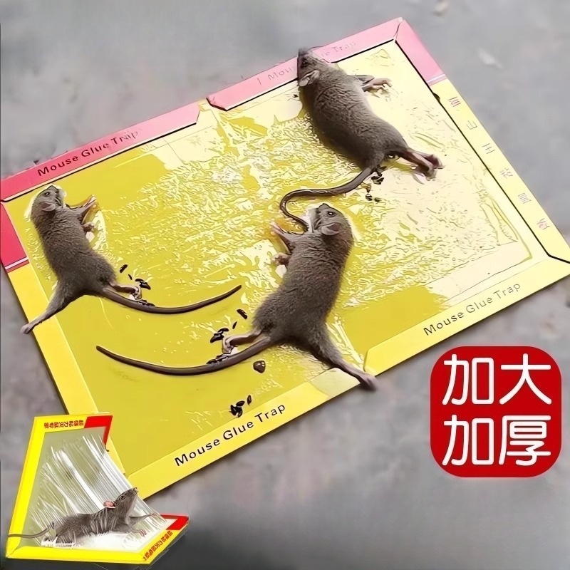 老鼠贴强力粘鼠板扑捉器胶粘大老鼠灭鼠家用抓鼠捕鼠神器2023新款